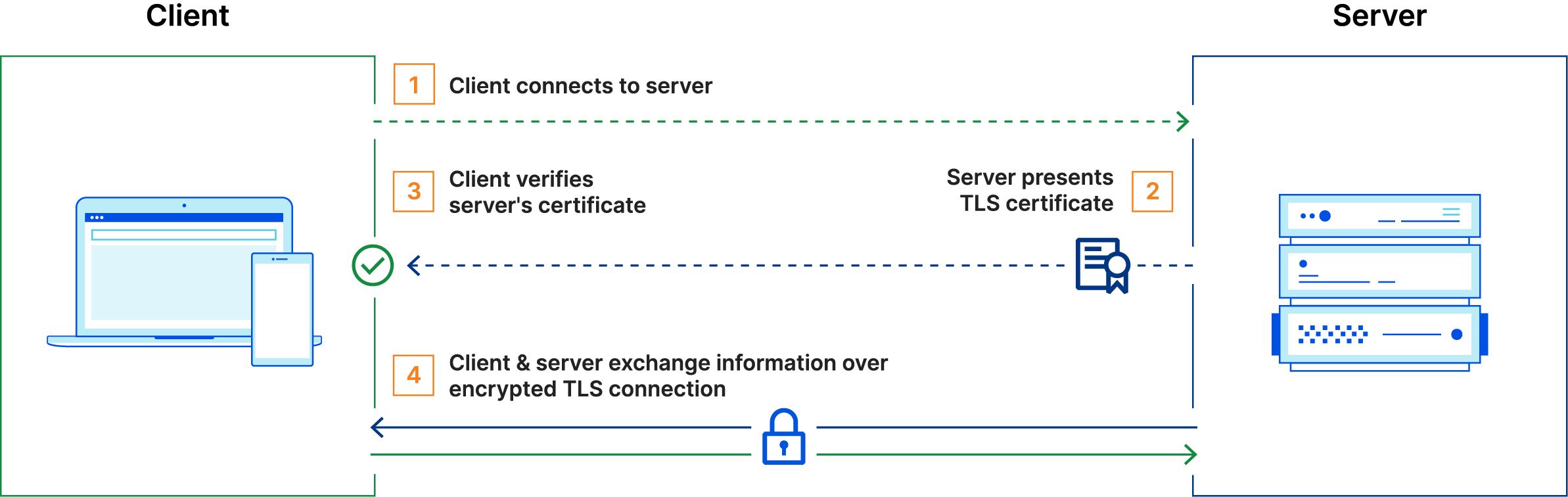 how tls works